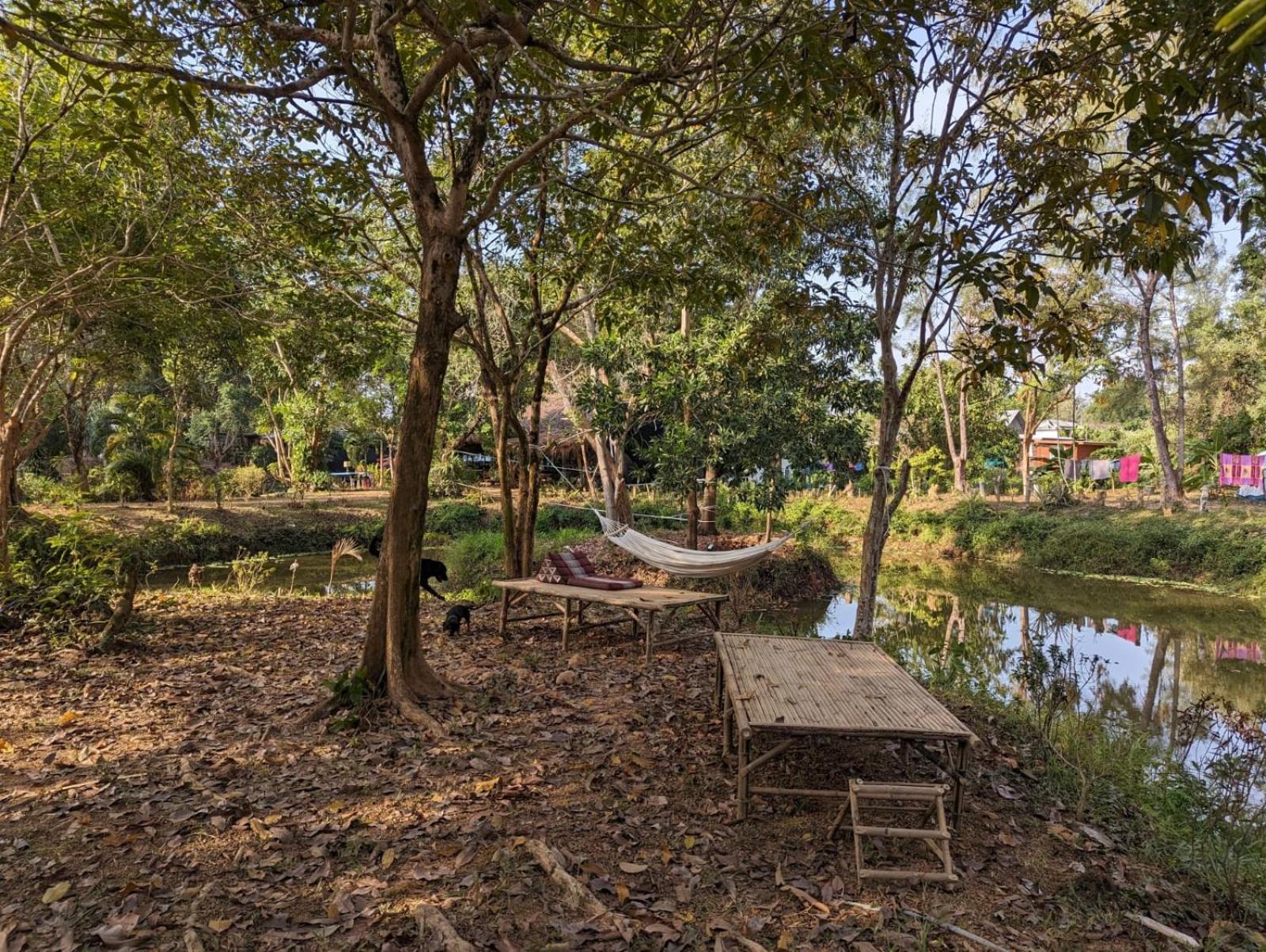 The River Retreat Koh Mak Exteriör bild